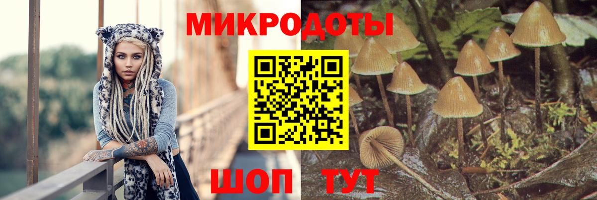 Элиста  Галлюциногенные грибы MAGIC MUSHROOMS  Вход с VPN 